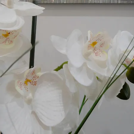 #28 1 Bdr Flat Ac Balcony Hper 10mins To & Old Town Nice